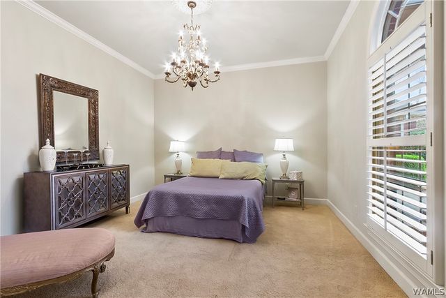 1311 Downing, Tuscaloosa, AL 35406