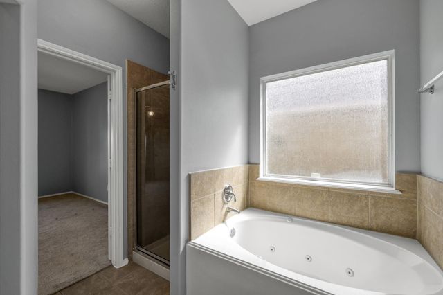 30327 Deleon Fields Drive, Spring, TX 77386