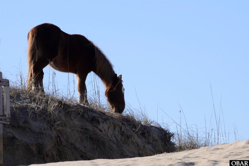 Image 35 of property listing at 2301 Sandfiddler Road Lot 15, Corolla, NC 27927