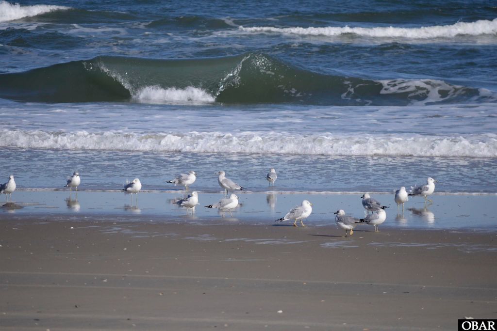 Image 43 of property listing at 2301 Sandfiddler Road Lot 15, Corolla, NC 27927