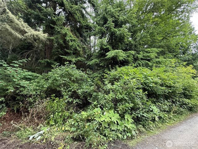 0 Hill Street, Port Ludlow, WA 98365