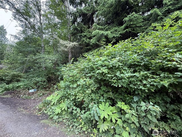 0 Hill Street, Port Ludlow, WA 98365