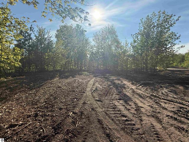 1007 E Solaris Way, Maple City, MI 49664