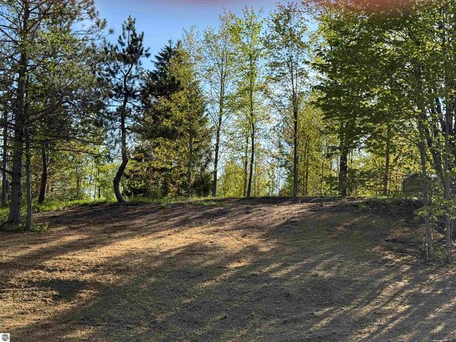 1007 E Solaris Way, Maple City, MI 49664