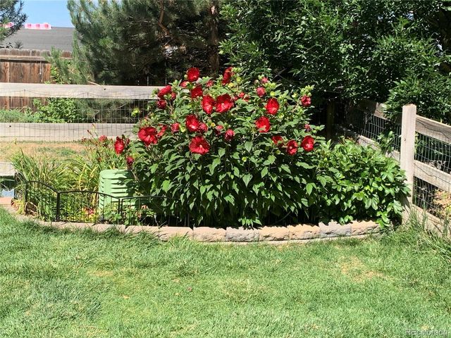 12741 Ivanhoe Street, Thornton, CO 80602