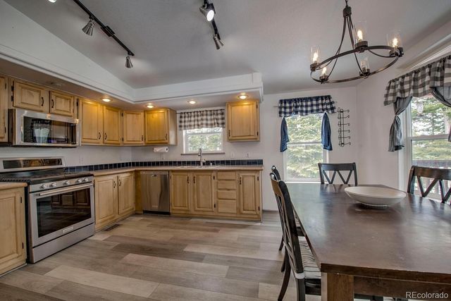 492 Kimmes Lane, Breckenridge, CO 80424