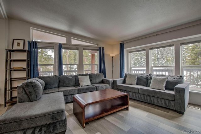 492 Kimmes Lane, Breckenridge, CO 80424