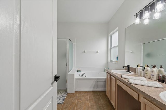 19029 CHEMILLE DRIVE, Lutz, FL 33558