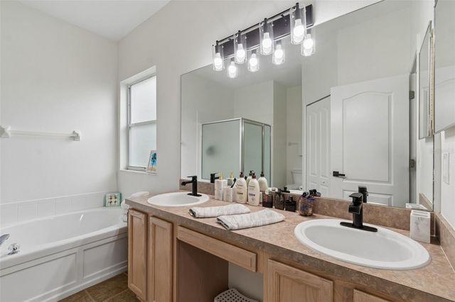 19029 CHEMILLE DRIVE, Lutz, FL 33558