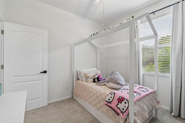 19029 CHEMILLE DRIVE, Lutz, FL 33558