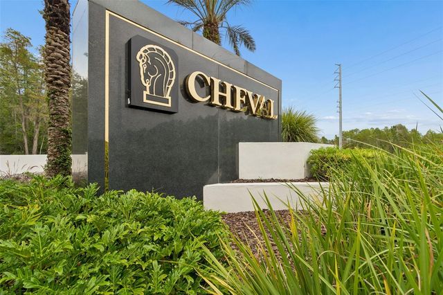 19029 CHEMILLE DRIVE, Lutz, FL 33558