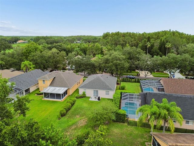 19029 CHEMILLE DRIVE, Lutz, FL 33558
