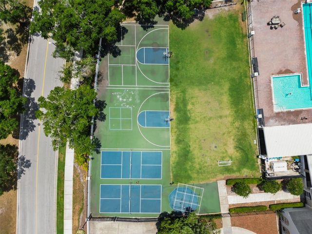 19029 CHEMILLE DRIVE, Lutz, FL 33558