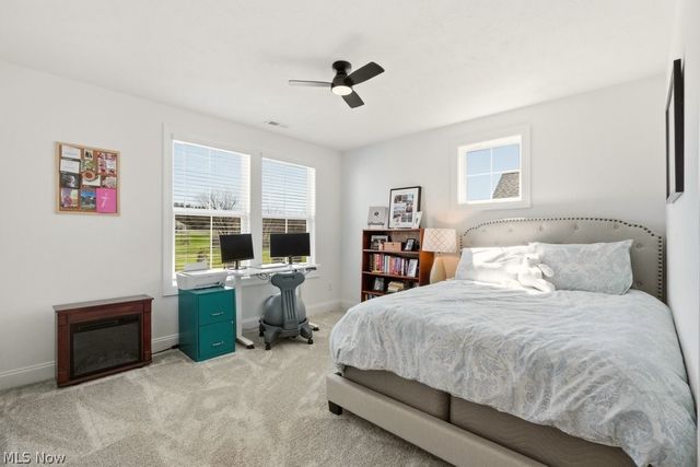 114 Lake Balaton Drive, Orange, OH 44128