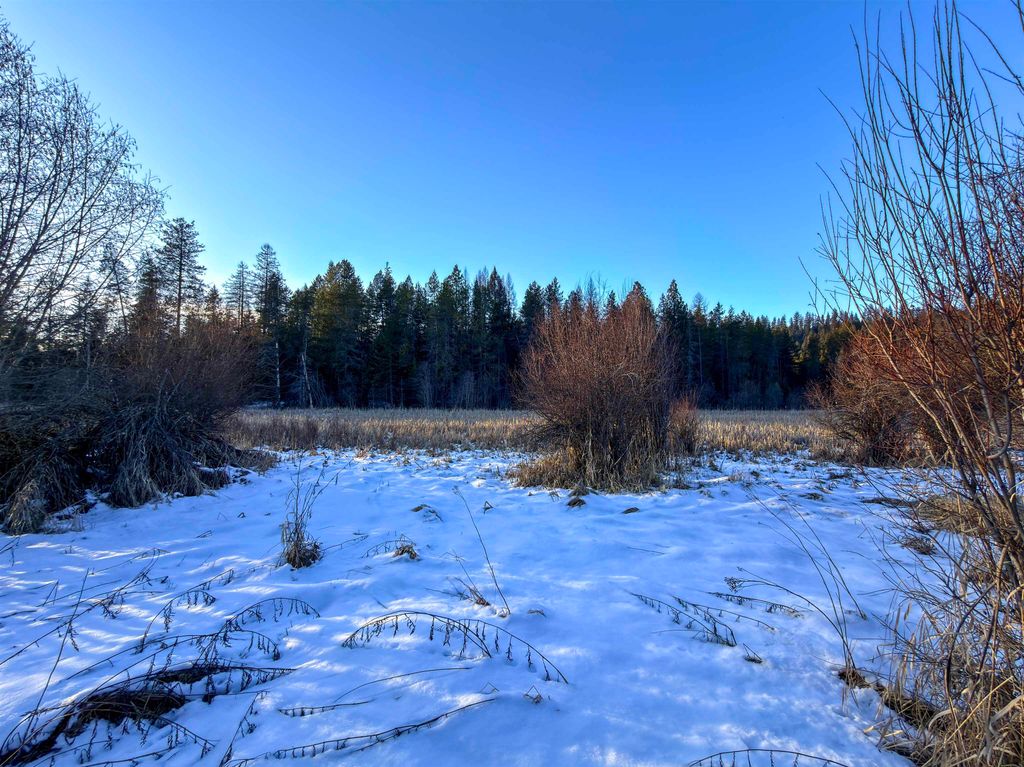 331861 2 Hwy, Newport, WA 99156 photo 2