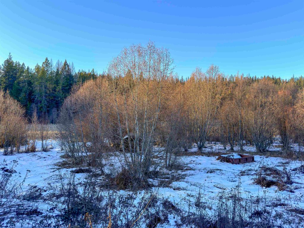 331861 2 Hwy, Newport, WA 99156 photo 6