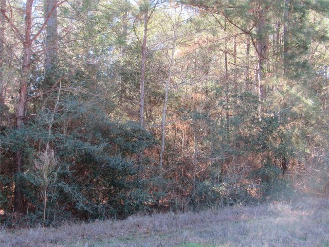 TBD Winchester Road, Huntsville, TX 77340