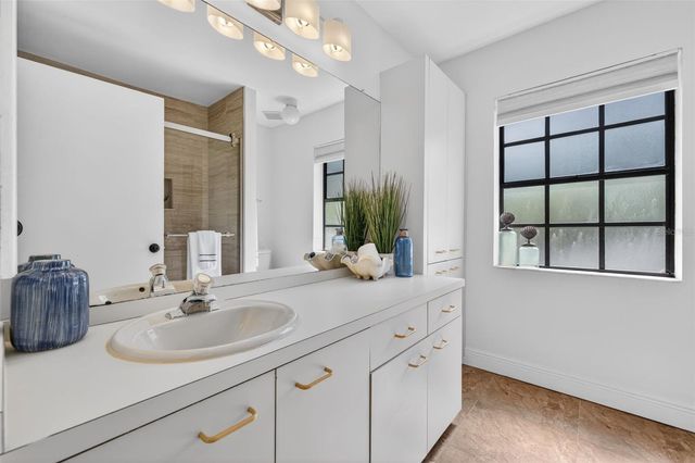 713 CAYA COSTA COURT NE, St Petersburg, FL 33702