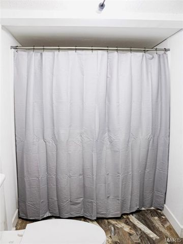 301 W North Street, Leadwood, MO 63653