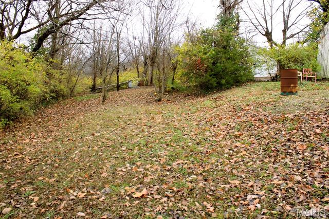 301 W North Street, Leadwood, MO 63653