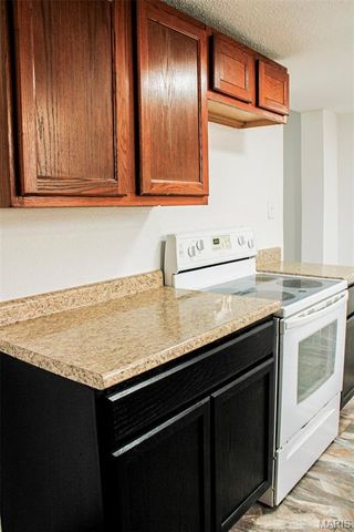 301 W North Street, Leadwood, MO 63653