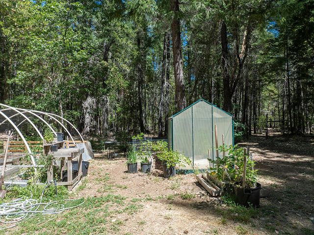 8843 Deer Creek Road, Selma, OR 97538