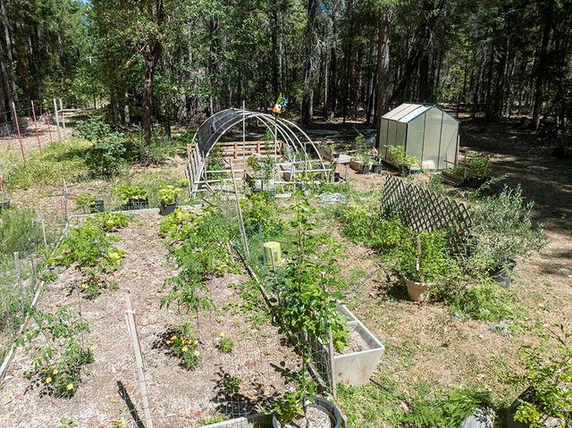 8843 Deer Creek Road, Selma, OR 97538