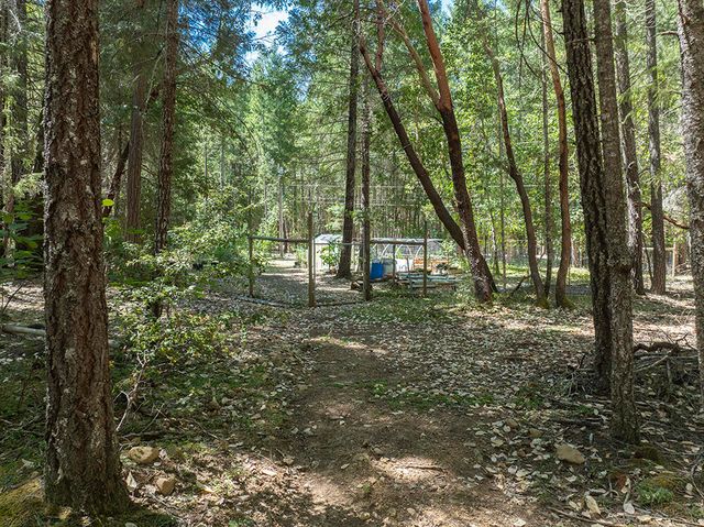 8843 Deer Creek Road, Selma, OR 97538