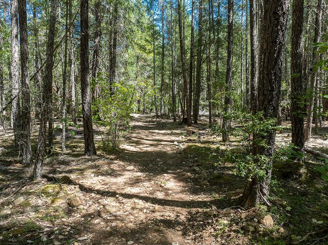 8843 Deer Creek Road, Selma, OR 97538