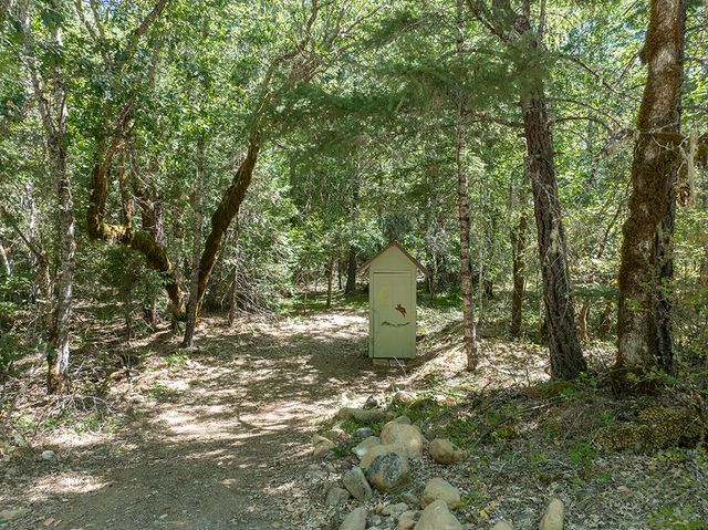 8843 Deer Creek Road, Selma, OR 97538