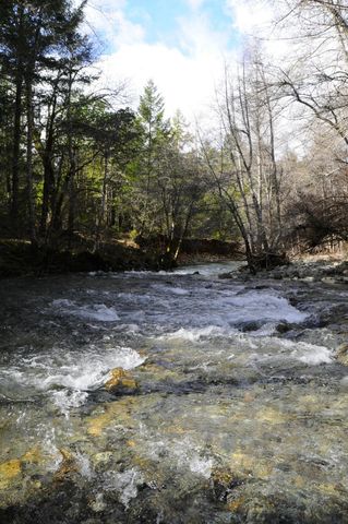 8843 Deer Creek Road, Selma, OR 97538