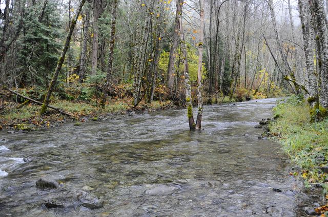 8843 Deer Creek Road, Selma, OR 97538