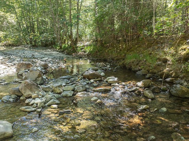 8843 Deer Creek Road, Selma, OR 97538