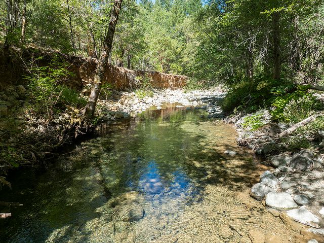 8843 Deer Creek Road, Selma, OR 97538