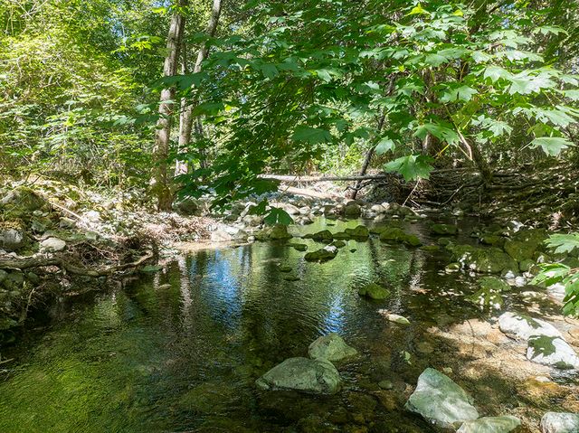 8843 Deer Creek Road, Selma, OR 97538