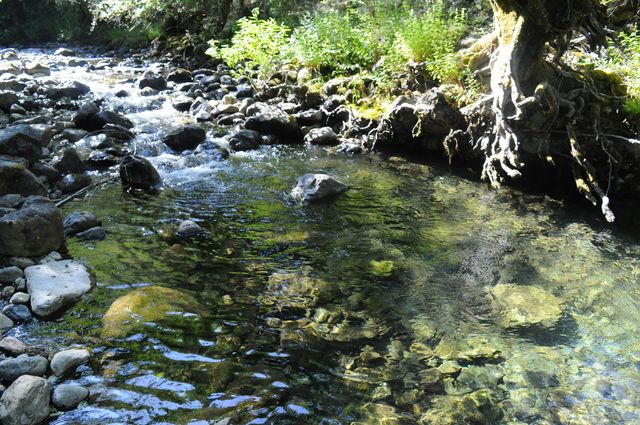 8843 Deer Creek Road, Selma, OR 97538