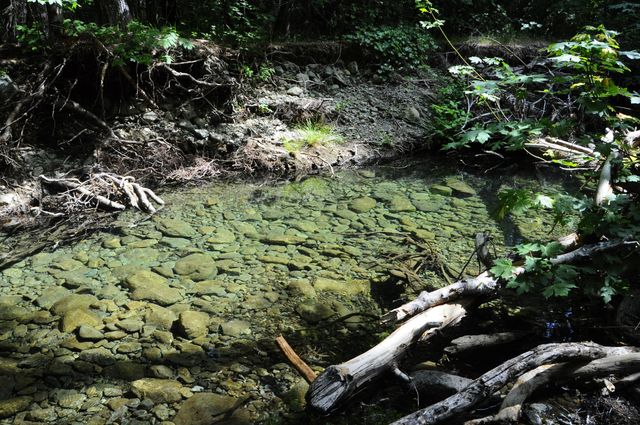 8843 Deer Creek Road, Selma, OR 97538