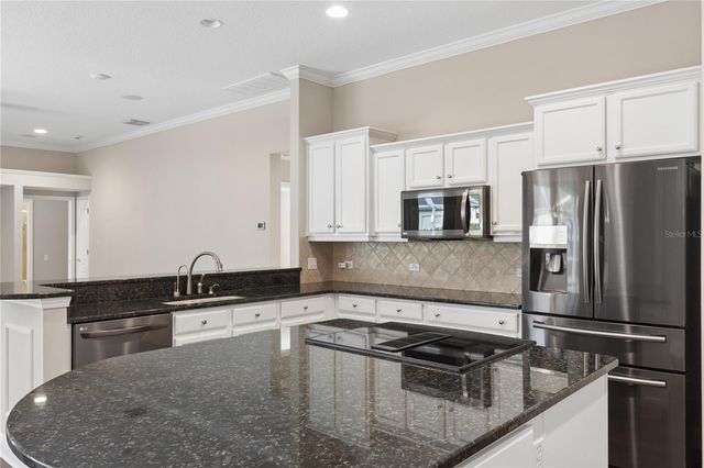 26920 WINGED ELM DRIVE, Wesley Chapel, FL 33544