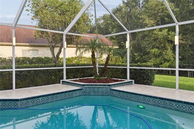 26920 WINGED ELM DRIVE, Wesley Chapel, FL 33544