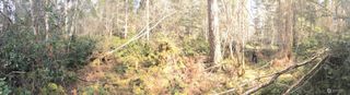 0 160th Avenue NW, Gig Harbor, WA 98329