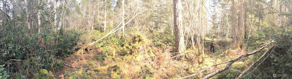 0 160th Avenue NW, Gig Harbor, WA 98329