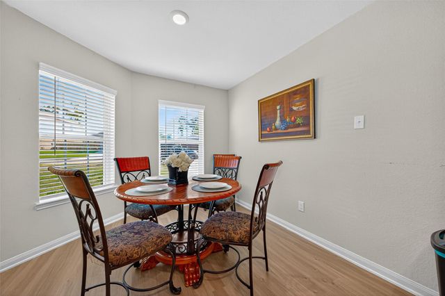 22514 Steel Blue Jaybird Drive, Hockley, TX 77447