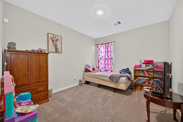 22514 Steel Blue Jaybird Drive, Hockley, TX 77447