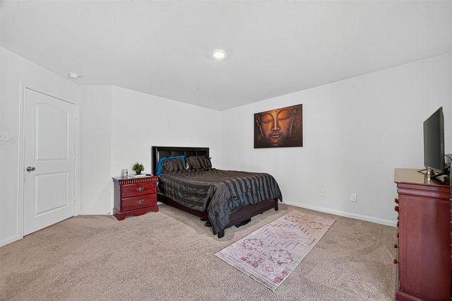 22514 Steel Blue Jaybird Drive, Hockley, TX 77447