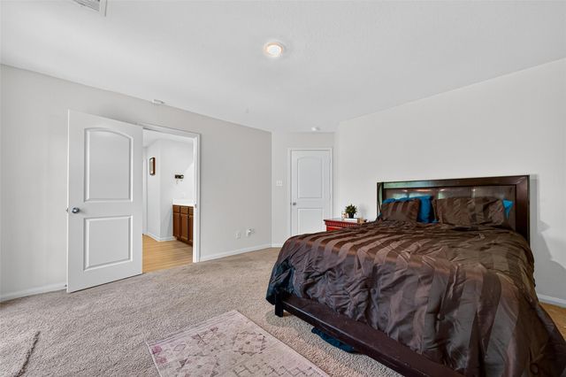 22514 Steel Blue Jaybird Drive, Hockley, TX 77447