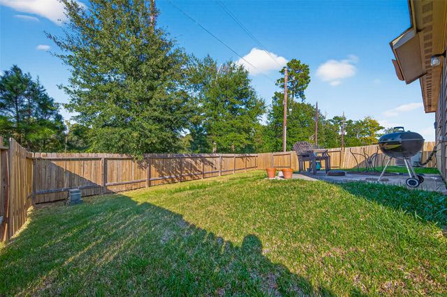 22514 Steel Blue Jaybird Drive, Hockley, TX 77447