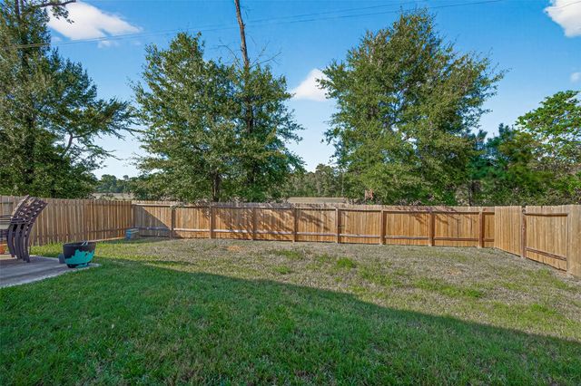 22514 Steel Blue Jaybird Drive, Hockley, TX 77447