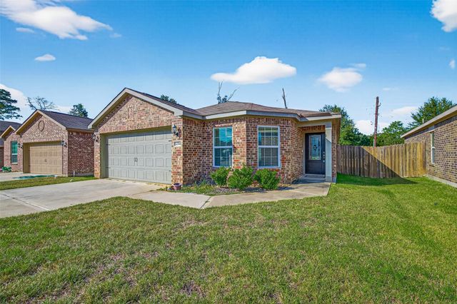 22514 Steel Blue Jaybird Drive, Hockley, TX 77447