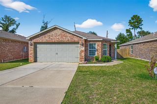 22514 Steel Blue Jaybird Drive, Hockley, TX 77447