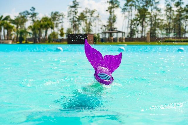 12110 Fletching Stone Lane, Houston, TX 77044